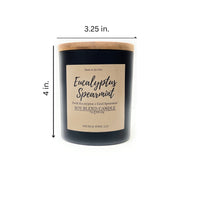 Eucalyptus Spearmint 1 Wick Candle
