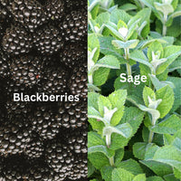 Blackberry + Sage 1 Wick Candle