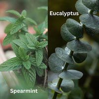 Eucalyptus Spearmint 3 Wick Candle