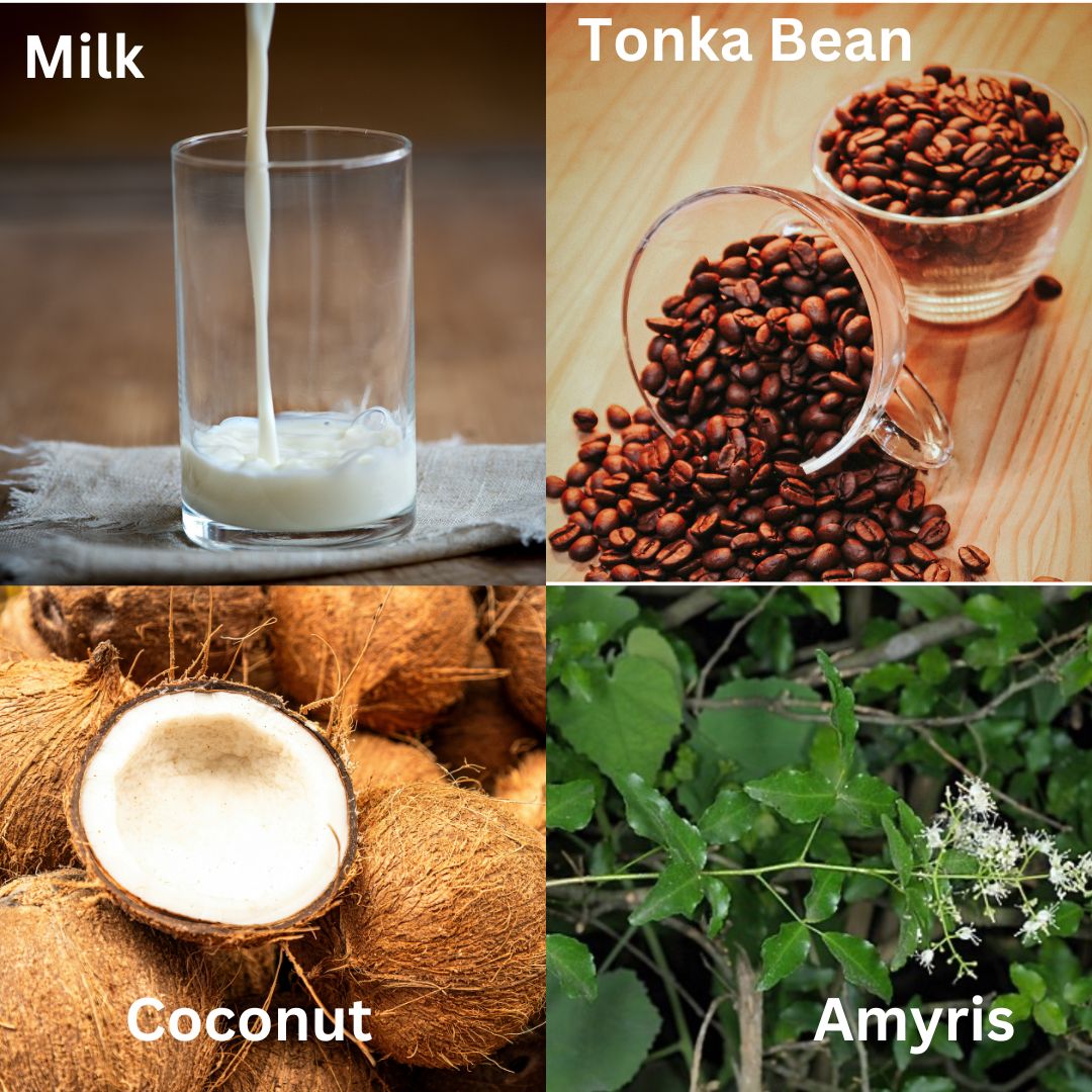 Sweet Amber & Coconut 3 Wick Candle